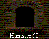 Hamster 50