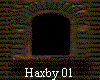 Haxby 01