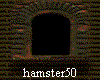 hamster50